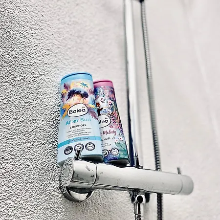 The Bridge To Confort * Cluj-Napoca