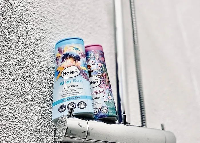 The Bridge To Confort * Cluj-Napoca